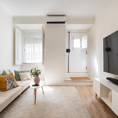 Experience Like A Local *